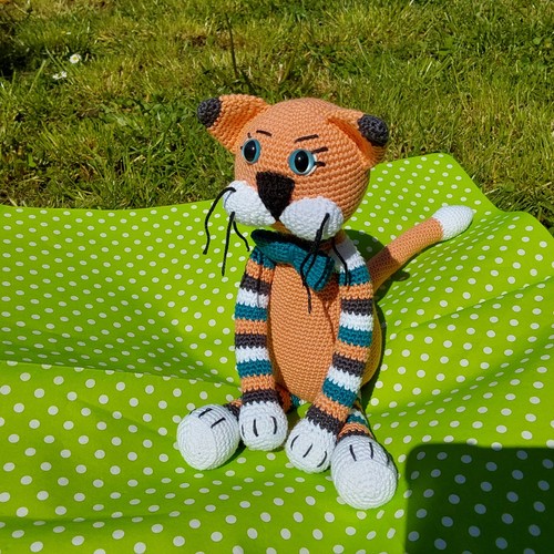 Kater katze felix - kater,