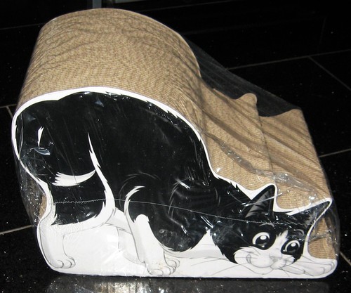 Felix katze kater scratcher - katze,