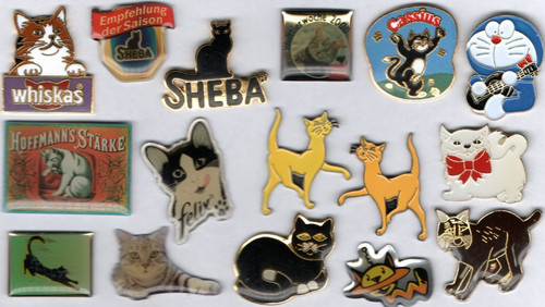Pin konvolut katze - katze, cat