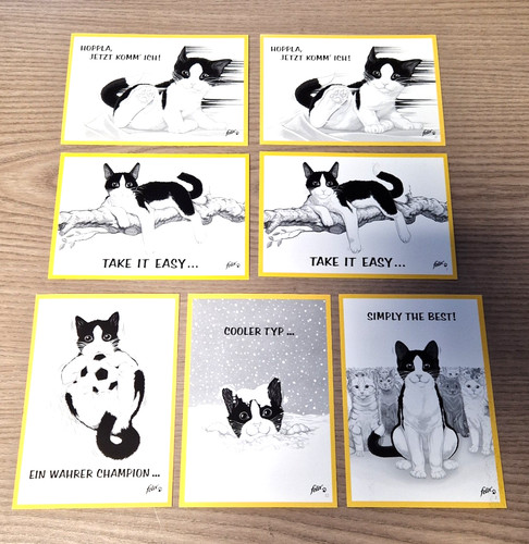 Postkarten katze kater - -,