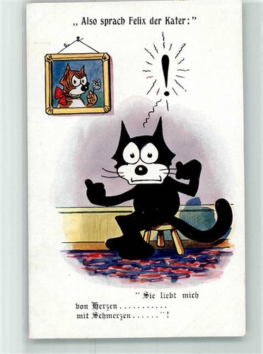 13953987 felix der kater - 13953987,